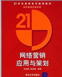 網絡營銷應用與策劃 驅動現代網絡銷售增長的雙引擎